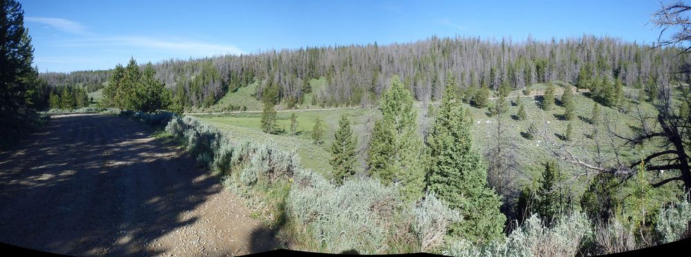 GDMBR: Wagon Creek Road and Creek joined us from the right side.